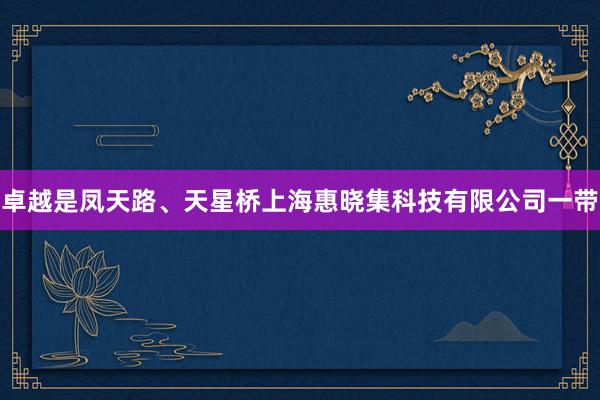 卓越是凤天路、天星桥上海惠晓集科技有限公司一带