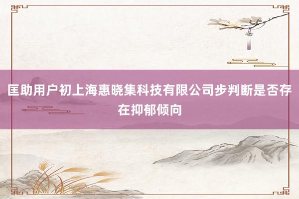 匡助用户初上海惠晓集科技有限公司步判断是否存在抑郁倾向