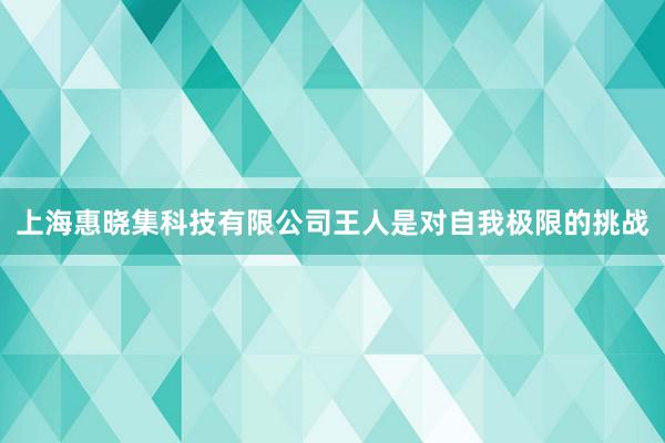 上海惠晓集科技有限公司王人是对自我极限的挑战