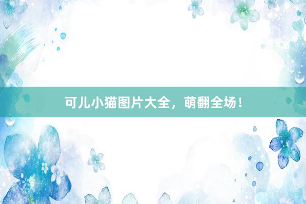 可儿小猫图片大全，萌翻全场！